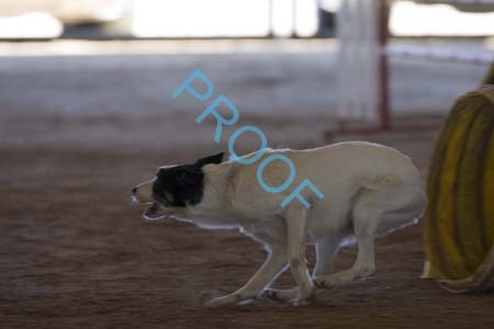 FCP_6566