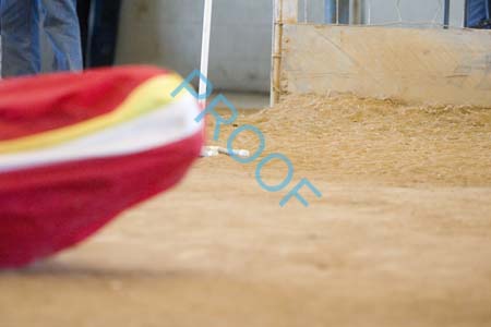 FCP_6958