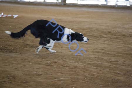 FCP_7103
