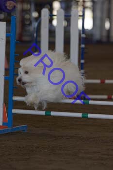 FCP_3040