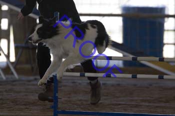 FCP_3074