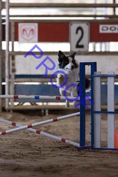 FCP_3079