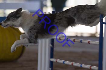 FCP_3082