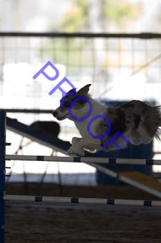 FCP_3085