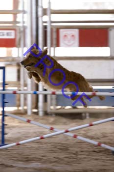 FCP_3097