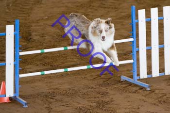 FCP_2940