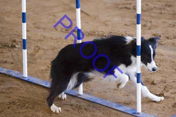 FCP_2974