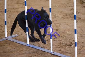 FCP_2991