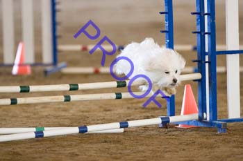 FCP_4511