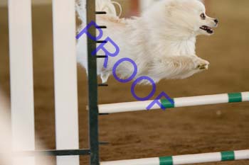 FCP_4520