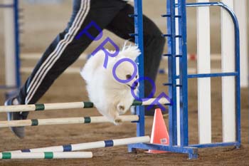 FCP_4525
