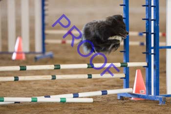 FCP_4531