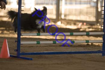 FCP_4533