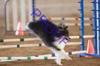 FCP_4538