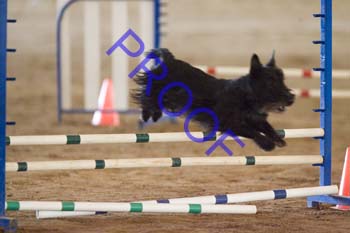 FCP_4566