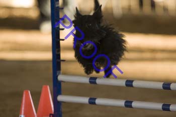 FCP_4570