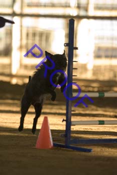 FCP_4594