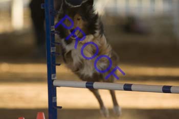 FCP_4618