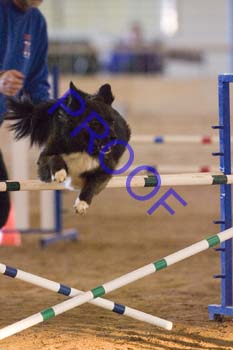 FCP_4676