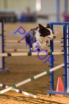 FCP_4683