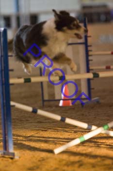 FCP_4689