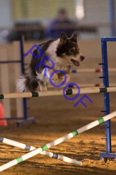 FCP_4697