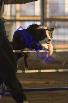 FCP_4722