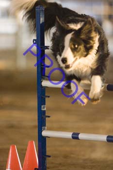 FCP_4725