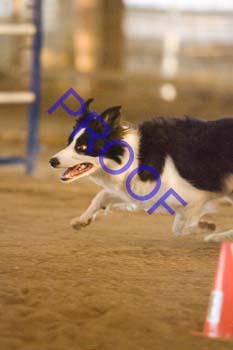 FCP_4736