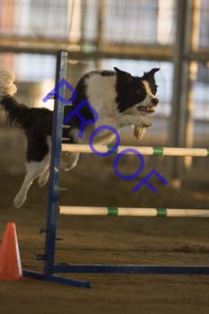 FCP_4739