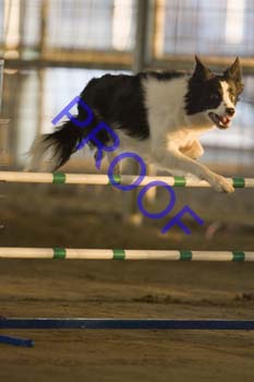 FCP_4740