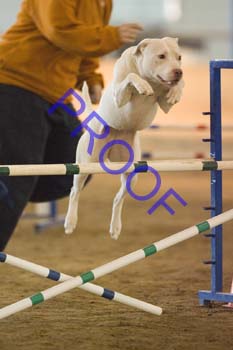 FCP_4753