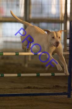 FCP_4756