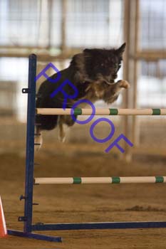 FCP_4778