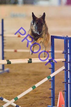 FCP_4788