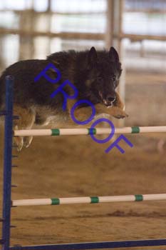 FCP_4798