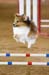 FCP_4453