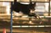 FCP_4655