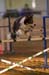 FCP_4697
