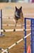 FCP_4788