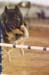 FCP_4799