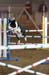 FCP_4297