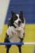 164- 159