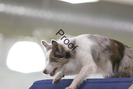173- 004